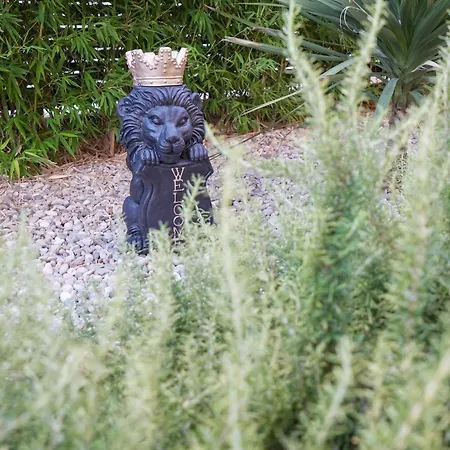 Del Alma * スプリト